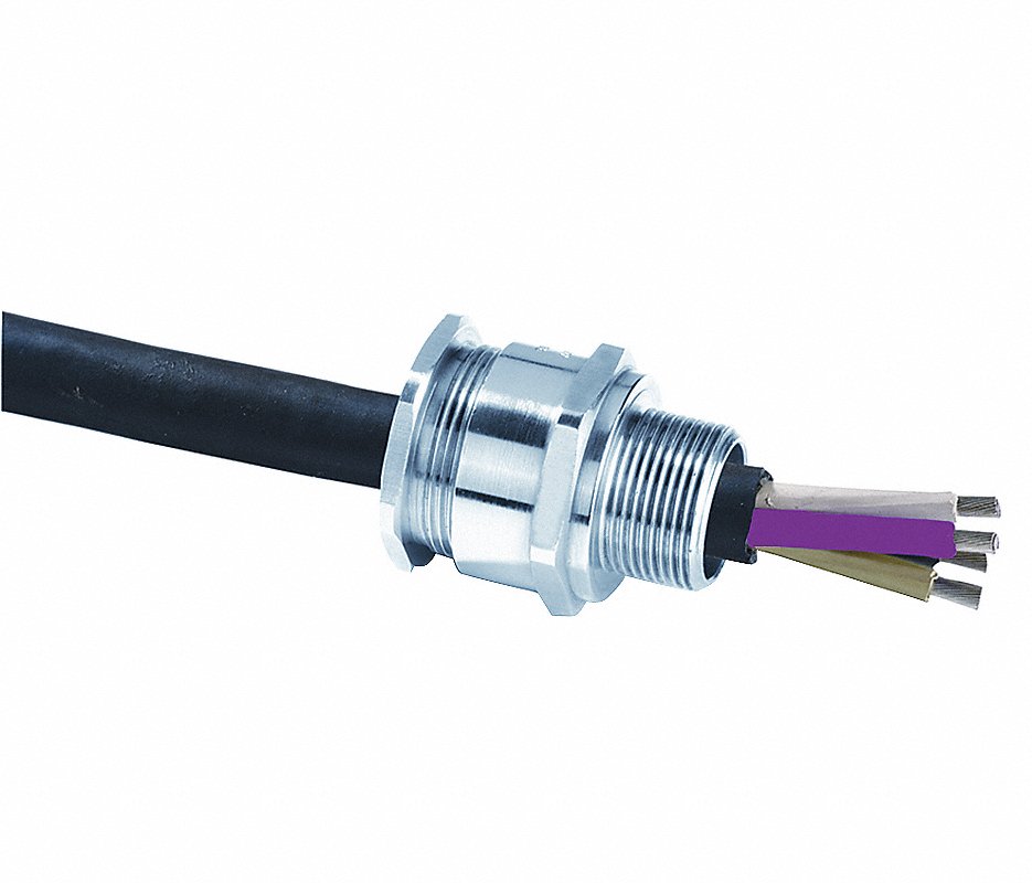 Retis lapen casen