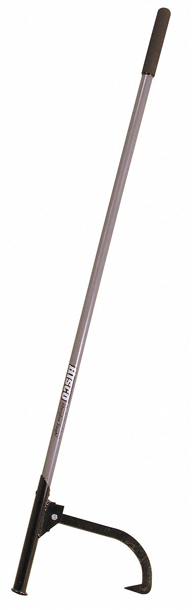Retis lapen casen